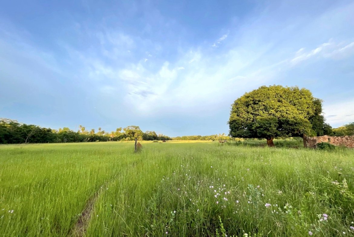 Altos Acunia Immobilien Kaufen Paraguay Heppner Lotes 02
