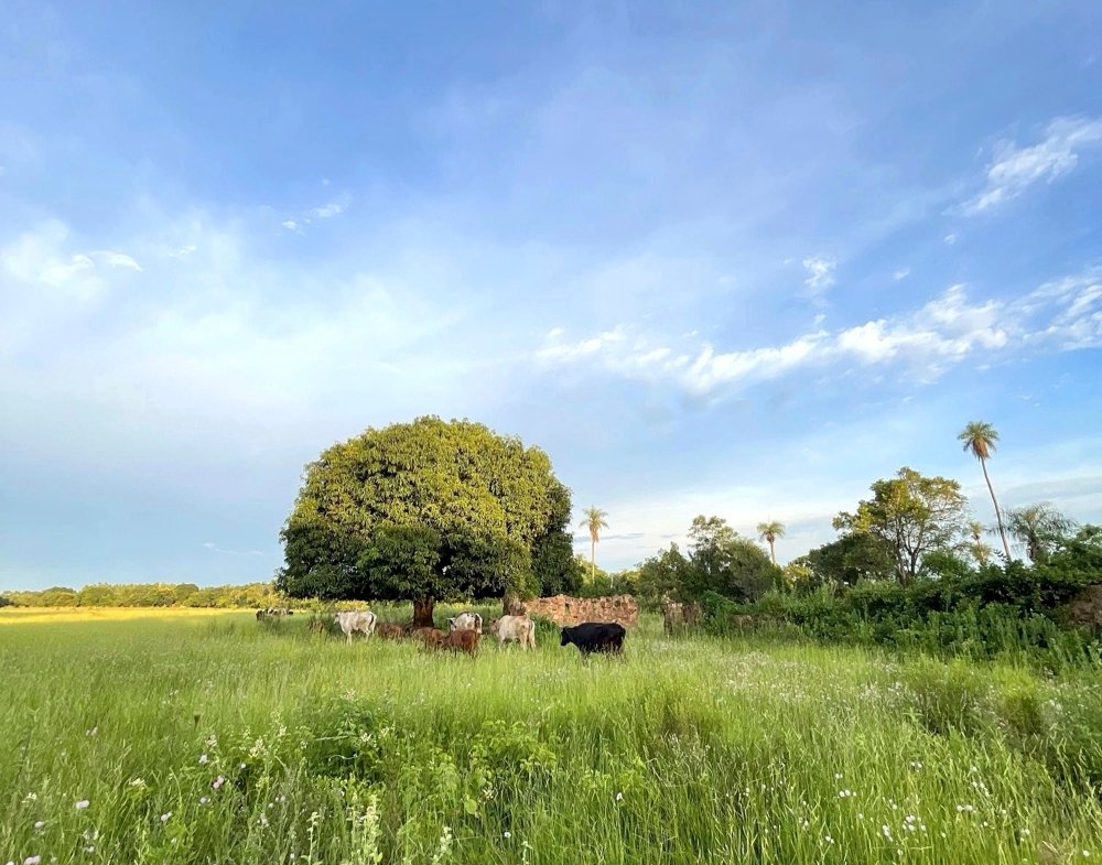 Altos Acunia Immobilien Kaufen Paraguay Heppner Lotes 05
