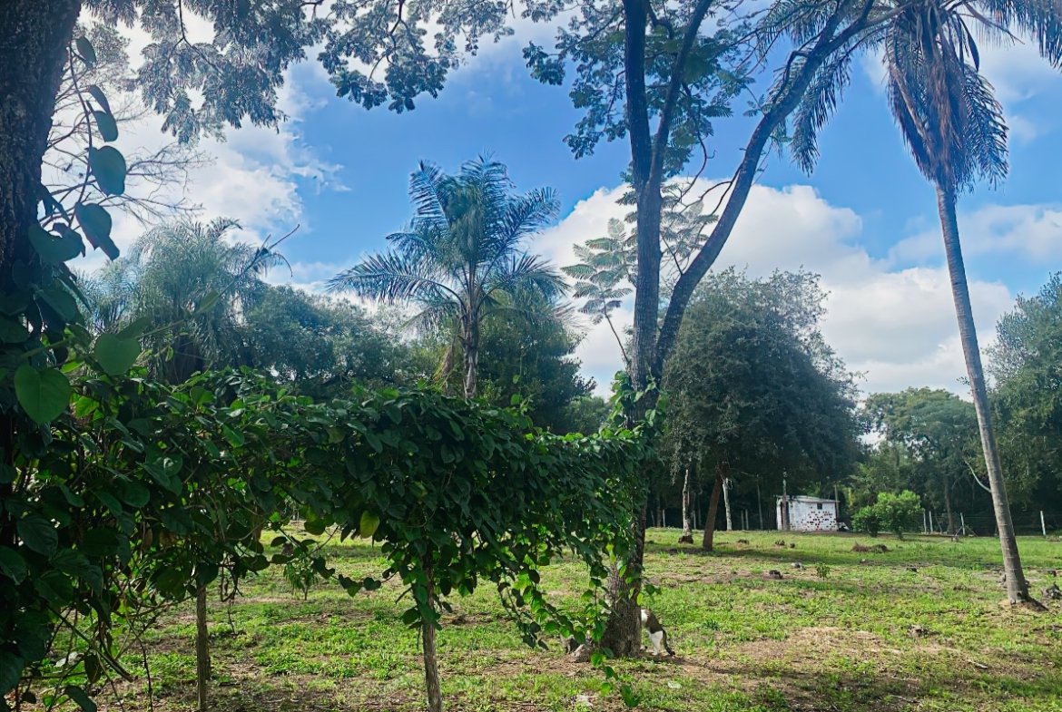 Caacupe Grundstueck Mit Haus Paraguay Heppner Lotes00017